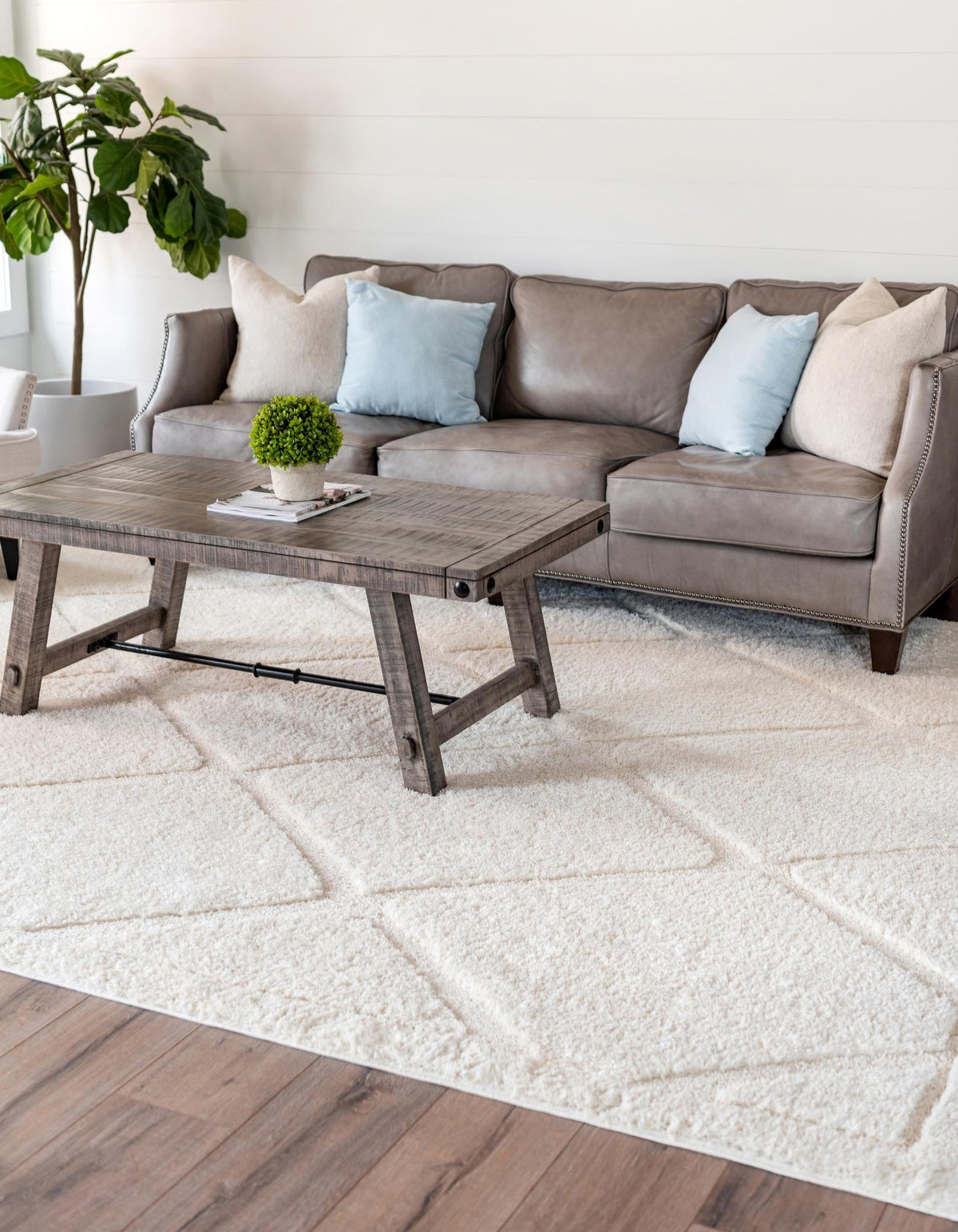 Rechteck Hochflorteppich Trellis Shag in Elfenbein von Hadorn™ - Lifestyle Image