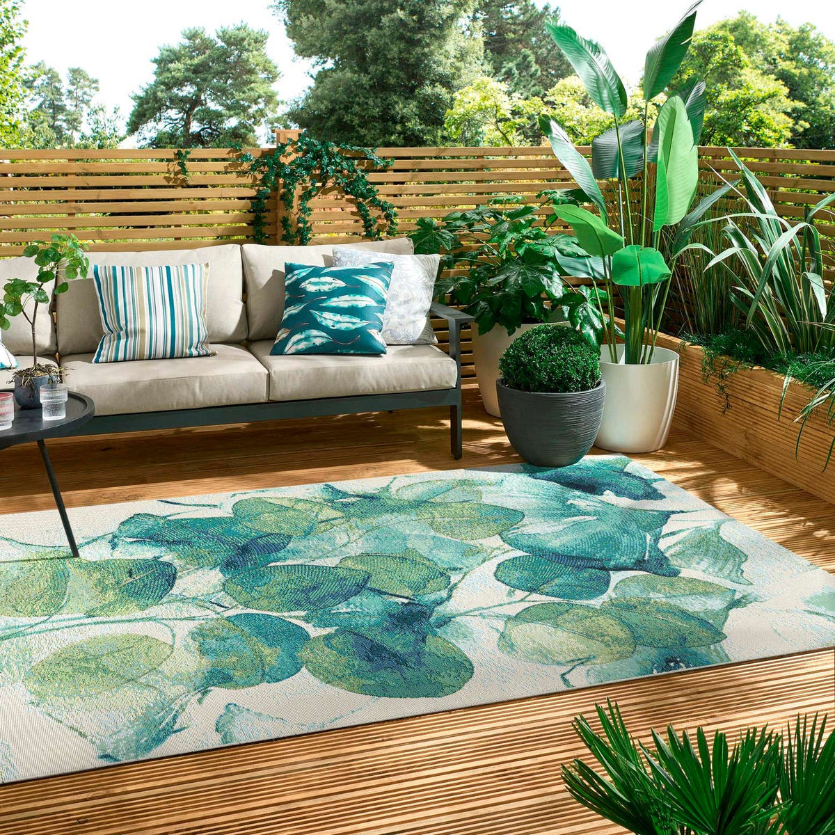 Outdoor Botanical