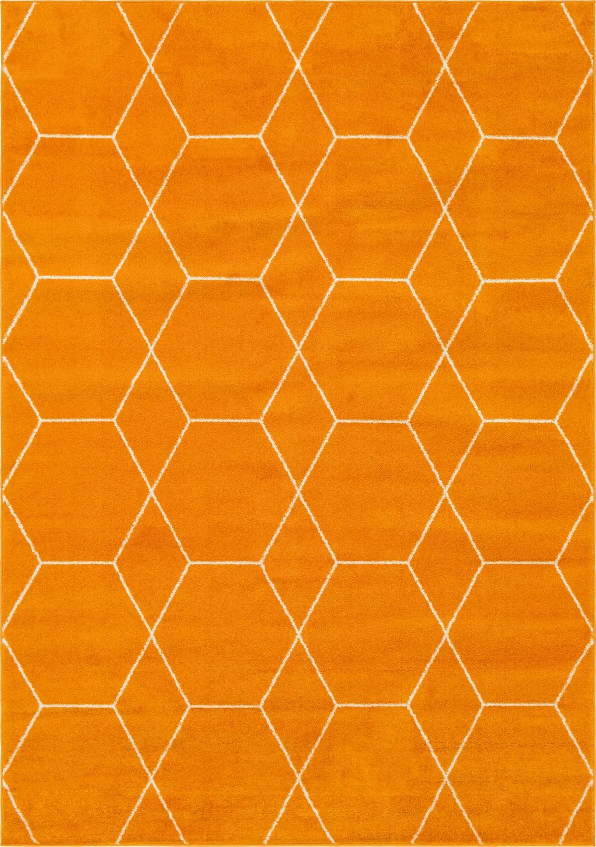 Rechteck Teppich Trellis Frieze in Orange von Hadorn™ - Lifestyle Image