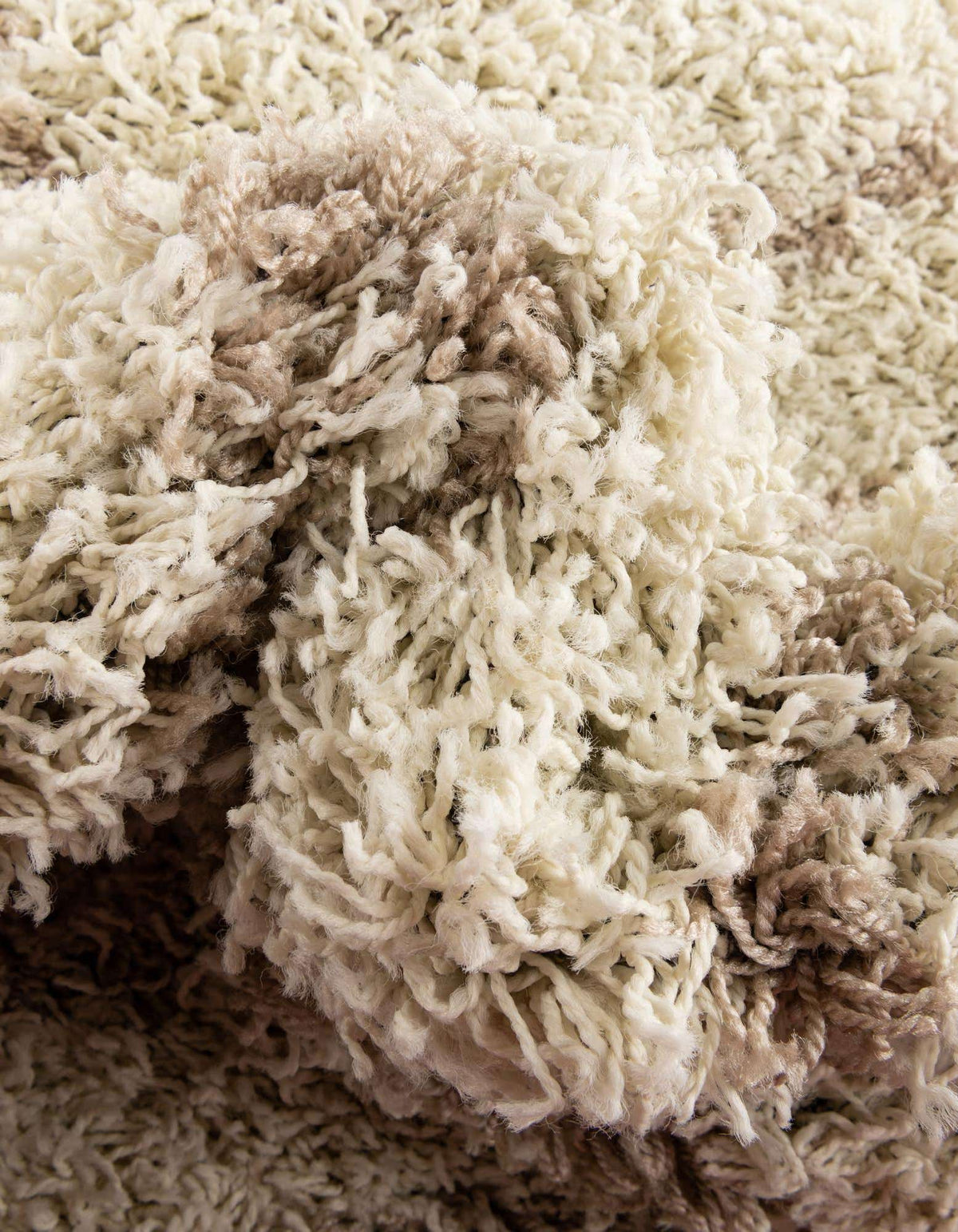 Rechteck Hochflorteppich Trellis Shag in Beige von Hadorn™ - Lifestyle Image